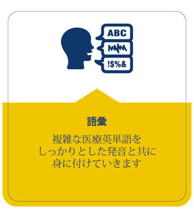 語彙