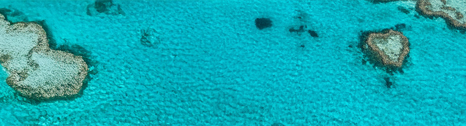 グレートバリアリーフのイメージ