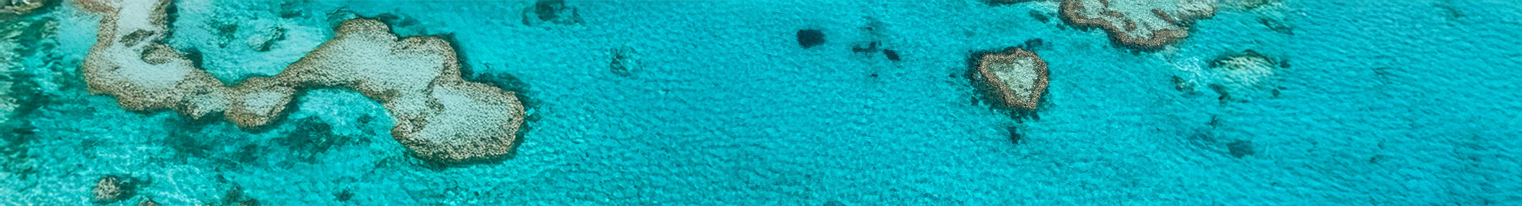 グレートバリアリーフのイメージ