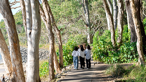 Lexisヌーサ写真