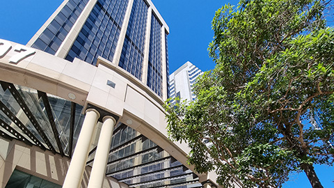 Lexisパース写真